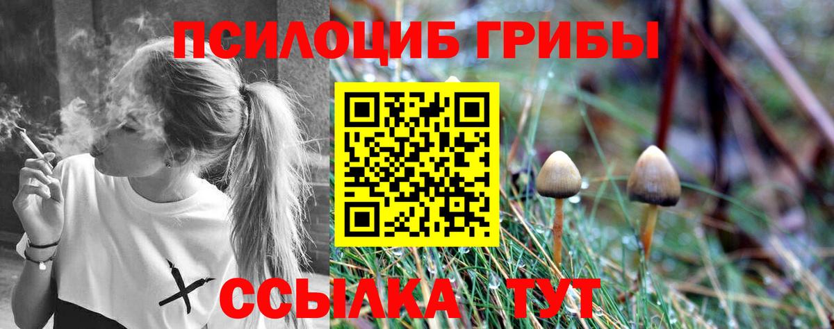 Псилоцибиновые грибы MAGIC MUSHROOMS Азов